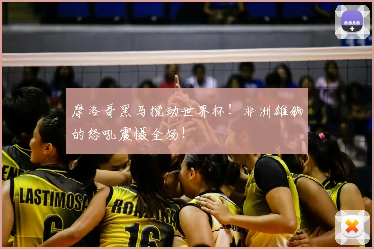 摩洛哥黑马搅动世界杯！非洲雄狮的怒吼震慑全场！